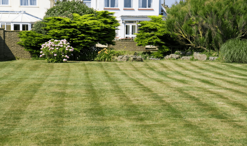 Neira Lawncare Services