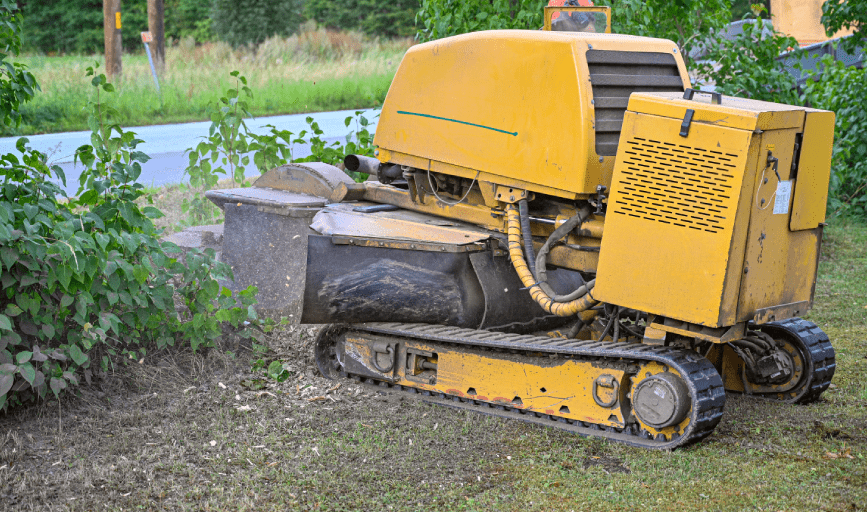 Neira Lawncare Services